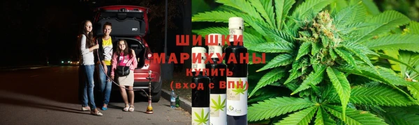 гашик Балахна