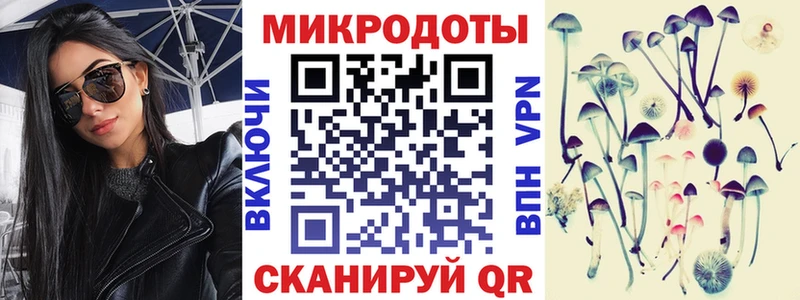 Псилоцибиновые грибы Psilocybe  Гаврилов-Ям 